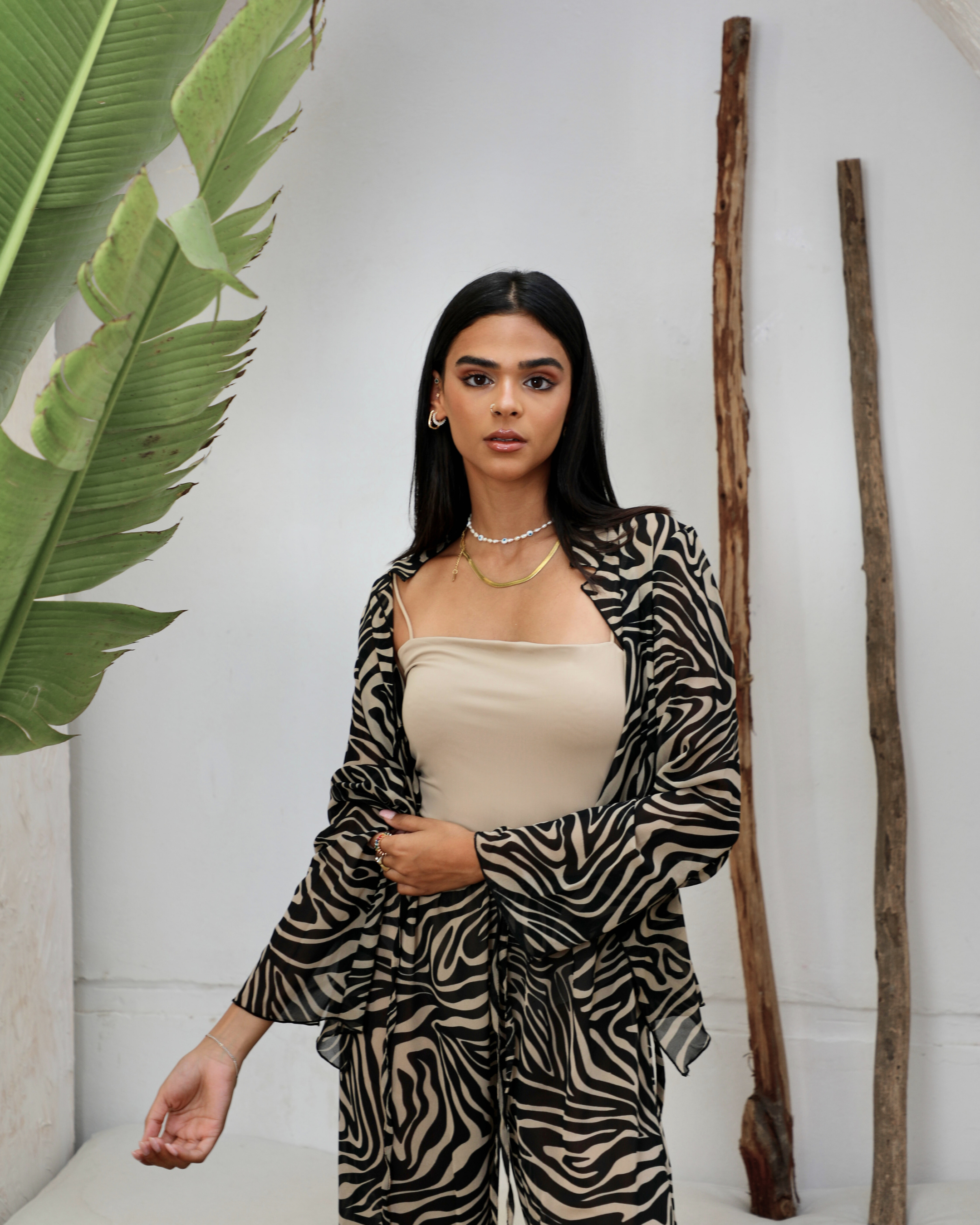 EL CONJUNTO DE CECILIA