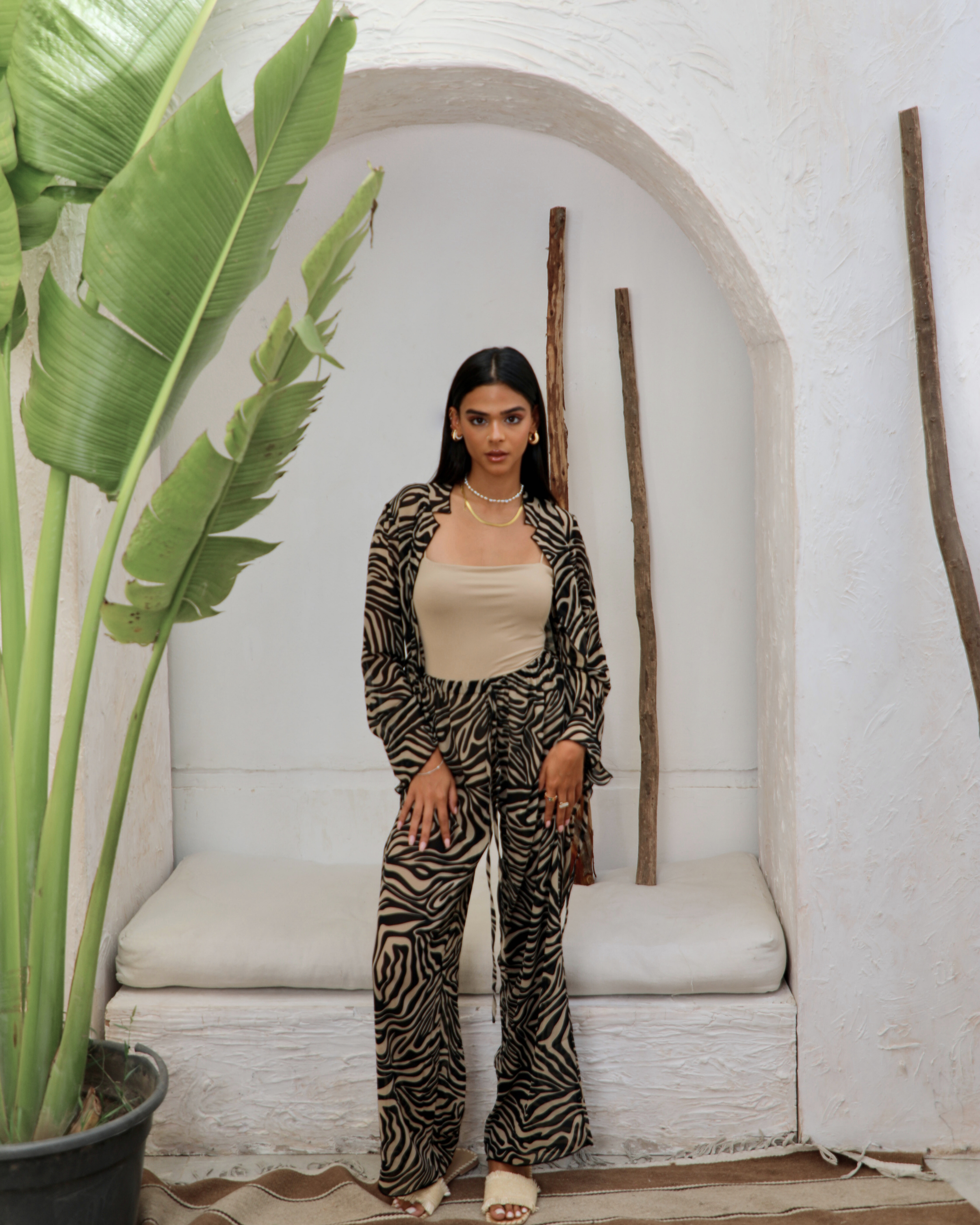 EL CONJUNTO DE CECILIA